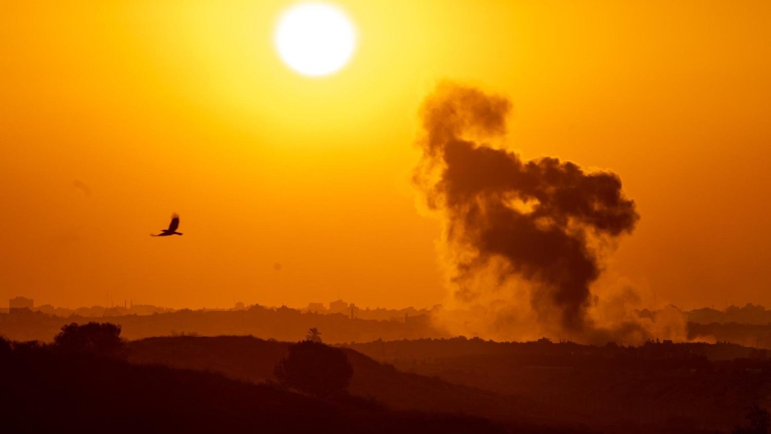 Pope Francis: War is absurd. Let's disarm the Earth