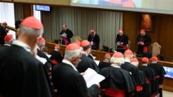 2025.05.06 12Âª Congregazione Cardinali