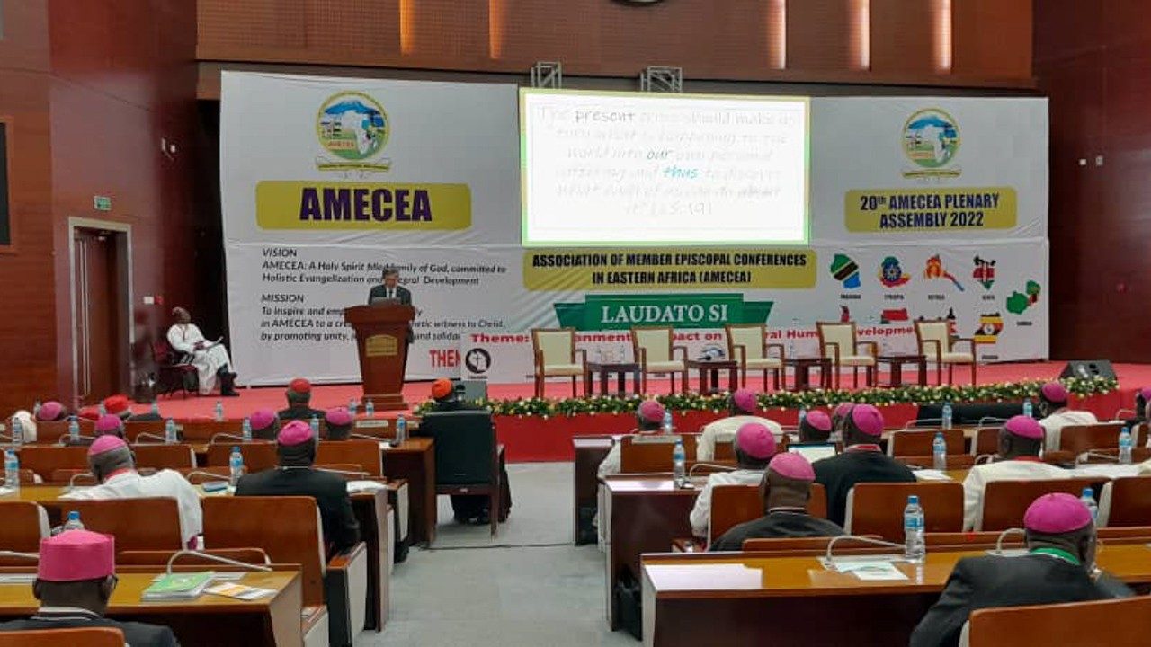 Ruffini: Communication can promote global ecological citizenship