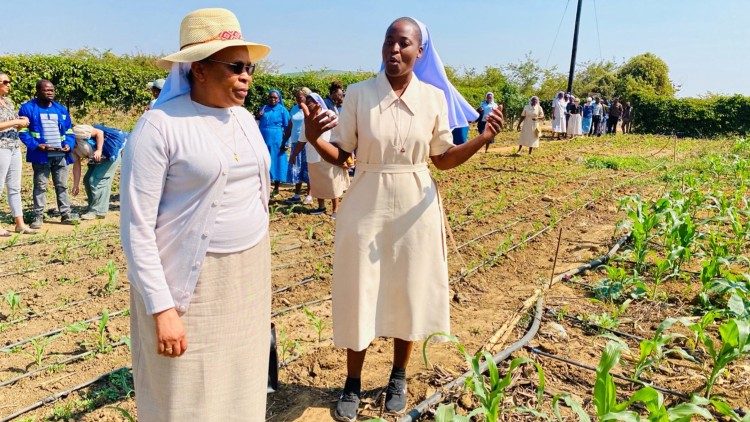 Religious sisters demonstrate an eco-friendly agricultural project in Zambia